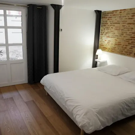 阿涛特卡尔美斯酒店 圖盧茲